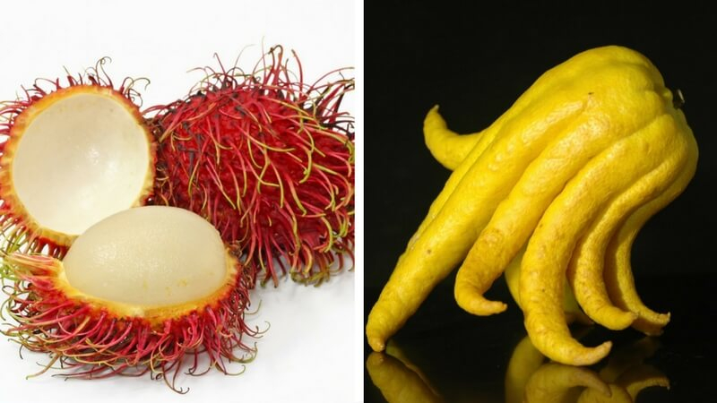 10 Weird Fruits That Are So Wild You Definitely Need To Try