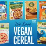 Breakfast Is Much Better With These 14 Vegan Cereal