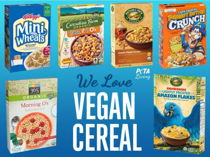 Breakfast Is Much Better With These 14 Vegan Cereal 