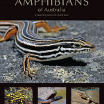 Reptiles And Amphibians Of Australia Harold Cogger