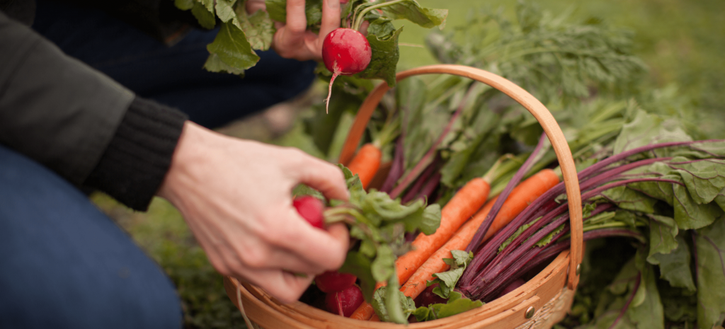 Seed To Supper Classes Help Families Grow Their Own Food