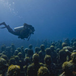 Underwater Museum MUSA Canc n Attractions Review