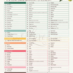 Low Carb Diet Grocery Shopping Checklist PDF Printable
