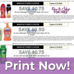 SoftSoap And Irish Spring Printable Coupons How To Shop