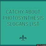 30 Catchy About Photosynthesis Slogans List Taglines