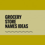 482 Best Grocery Store Names Video Infographics