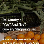 Dr Gundry Diet Food List A Comprehensive Yes And No List