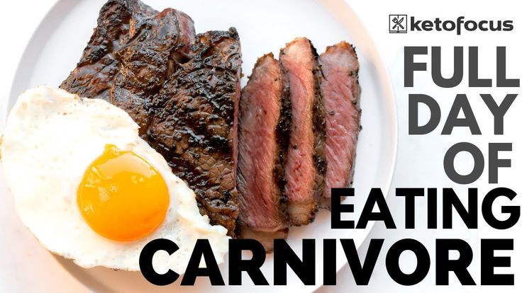 Pin On Carnivore Diet
