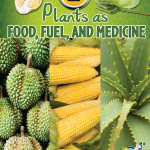 Plants As Food Fuel And Medicine TCR102355 Teacher