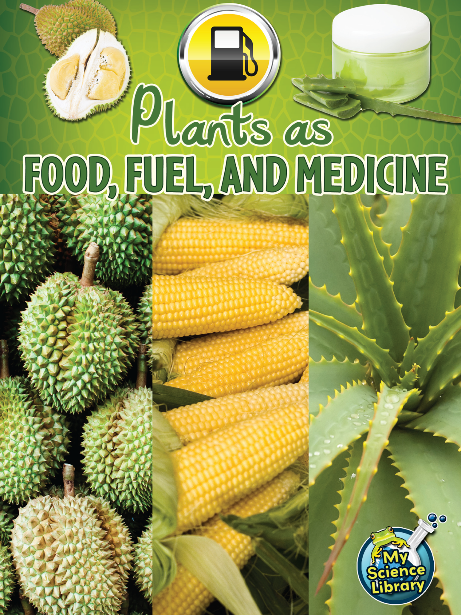 Plants As Food Fuel And Medicine TCR102355 Teacher 