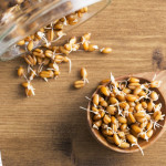 Sprouted Grains Diabetes Self Management