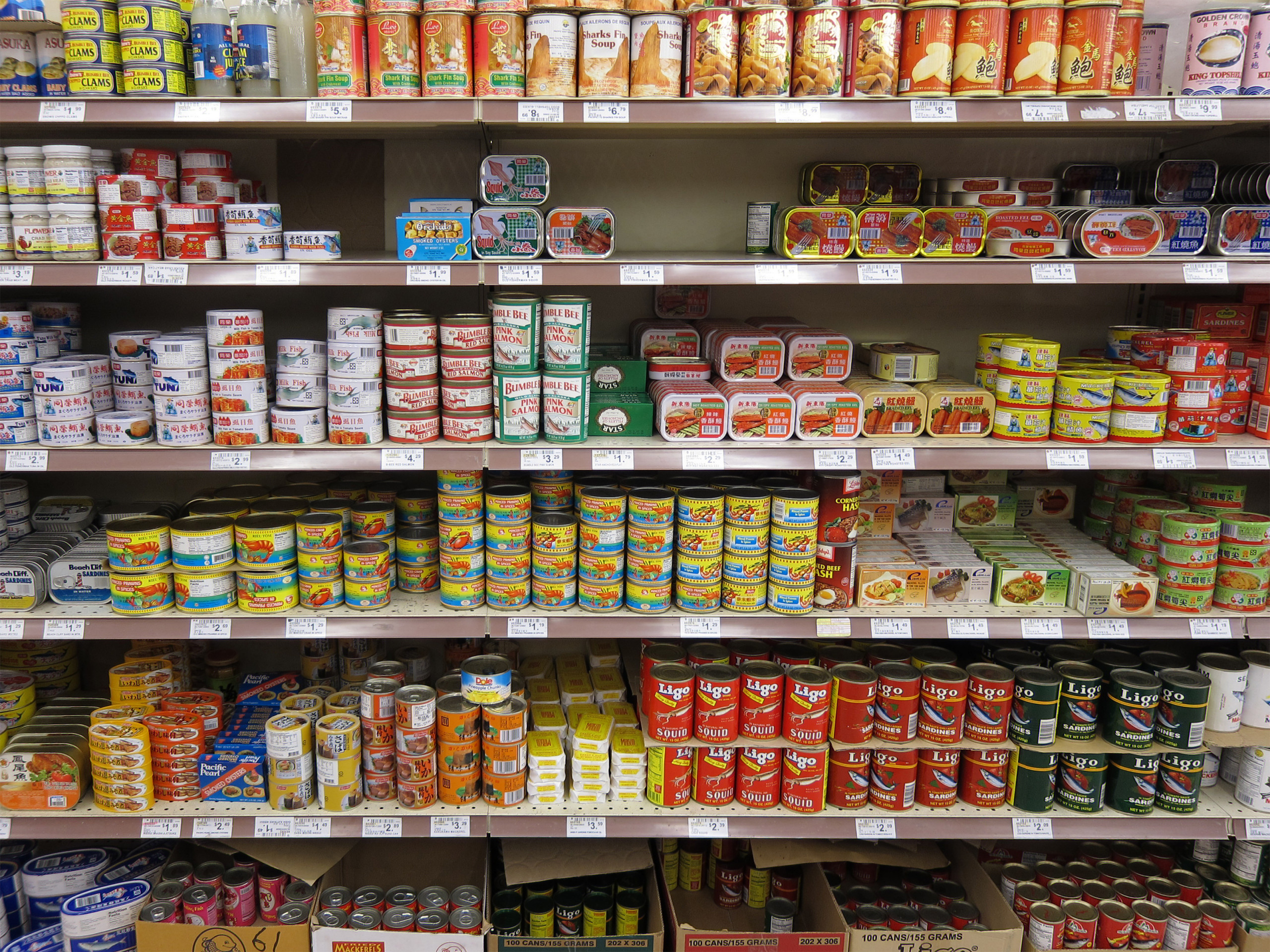 Stanford Researcher Finds Link Between Canned Food And 