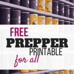 The Benefits Of Being An Optimistic Prepper A Free
