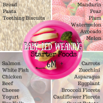 Baby Led Weaning Starter Foods 6months Family Style