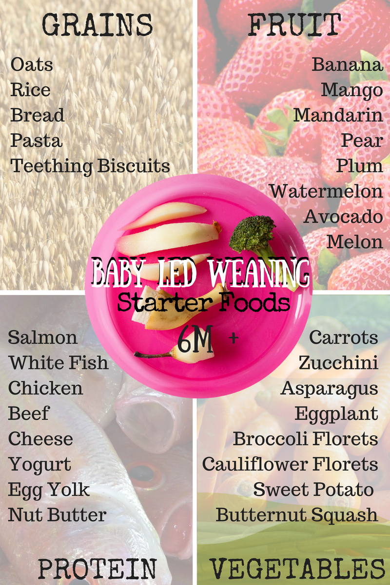 Baby Led Weaning Starter Foods 6months Family Style 