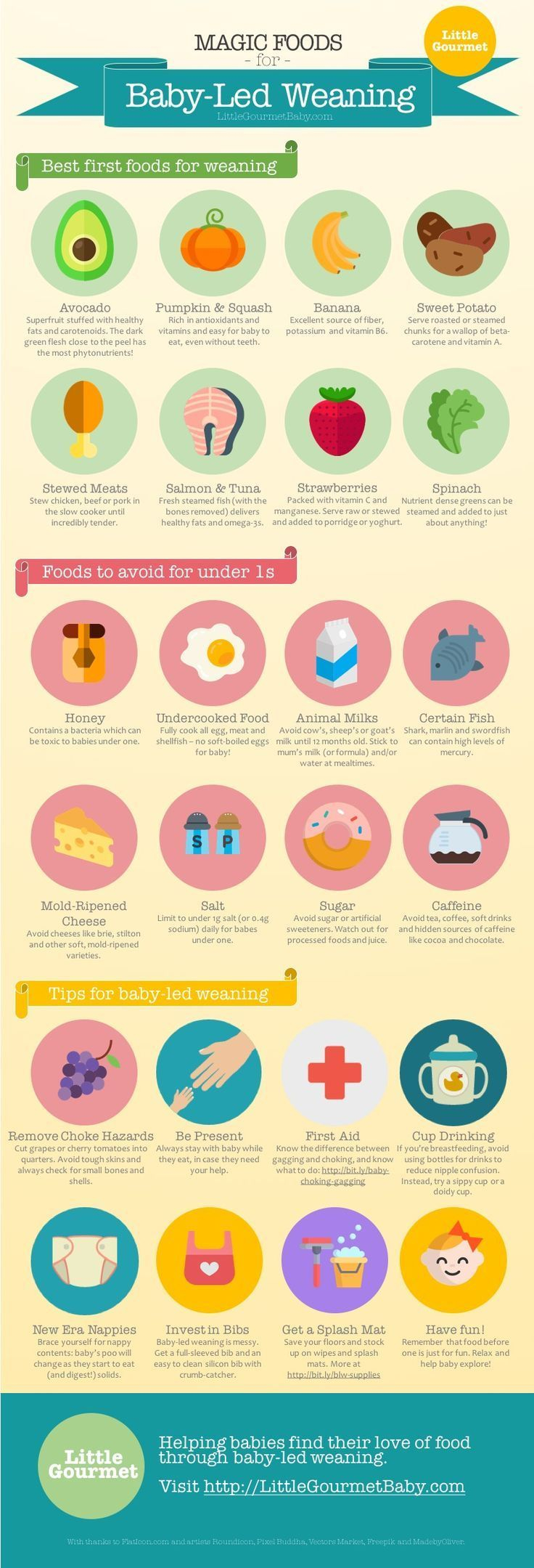 Best First Foods Foods To Avoid BLW Tips INFOGRAPHIC 
