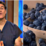 Here Are The 10 Foods Dr Oz Always Recommends