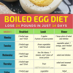 How I Lost 12 Pounds In One Week With The Egg Diet Medium